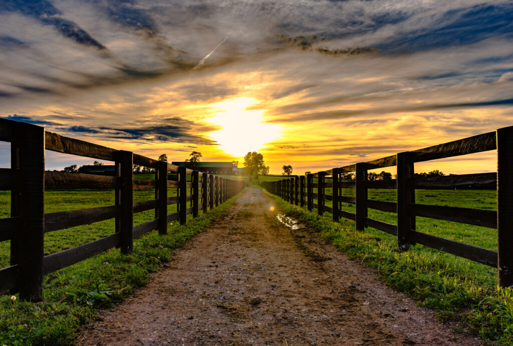 WJ Land Contractors - Fencing