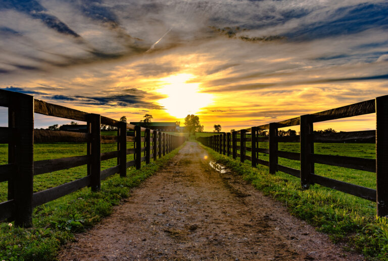 WJ Land Contractors - Fencing